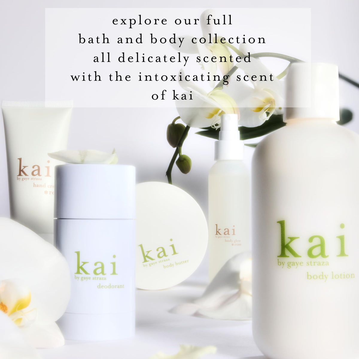 kai packaged for travel displaying protective box and TSA-friendly size