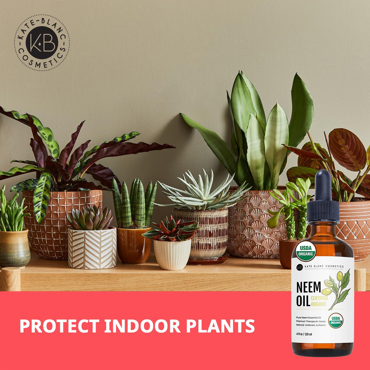Kate Blanc neem oil diluted spray on houseplant leaves showing plant-care improvement