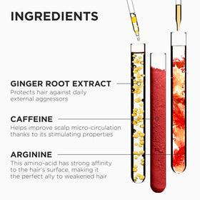 KÉRASTASE Genesis serum being applied to scalp to strengthen roots