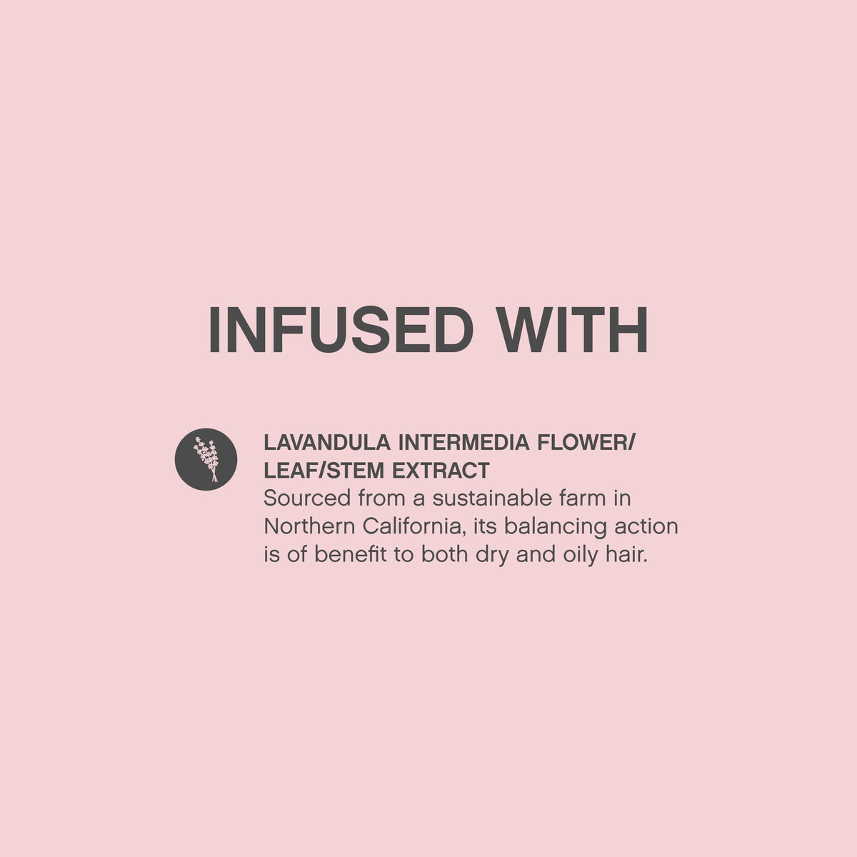 KEVIN.MURPHY lotion texture on fingers showing lightweight, non-greasy benefit