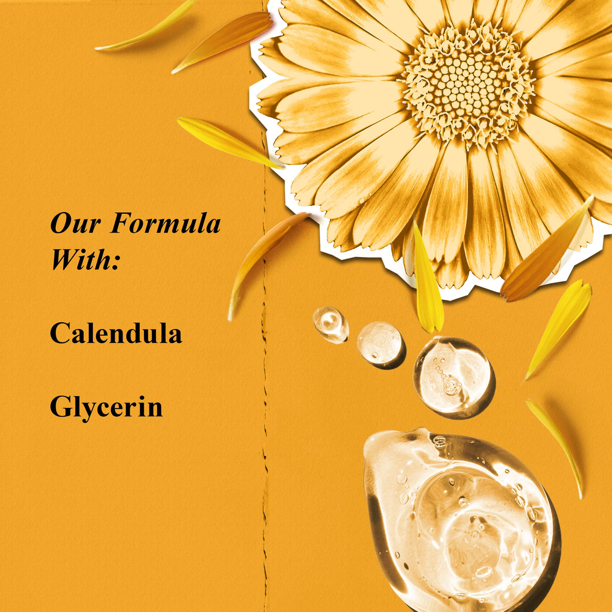 Kiehl's calendula flowers ingredient highlighting soothing properties
