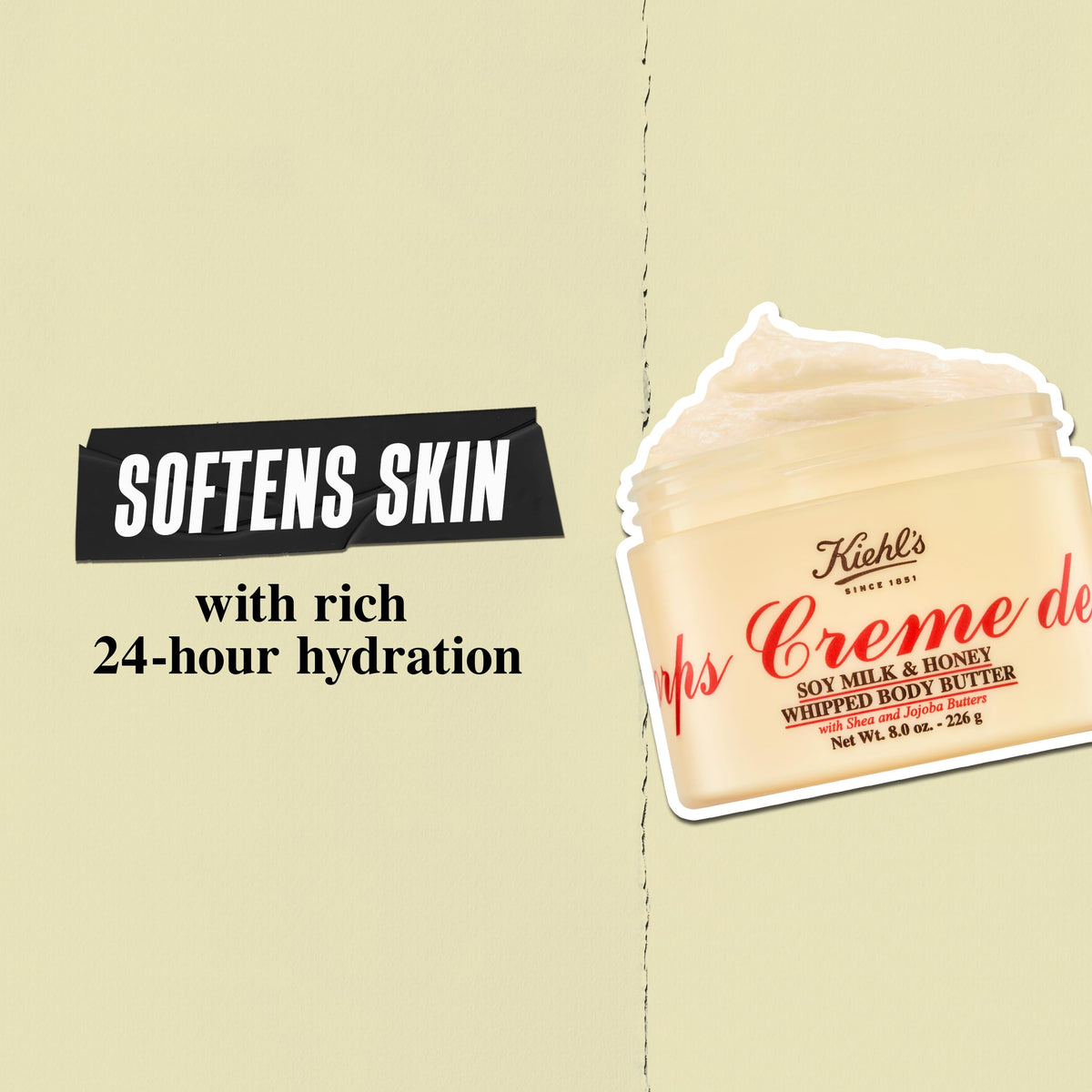 Kiehl's ingredients flatlay highlighting shea and natural oils benefits