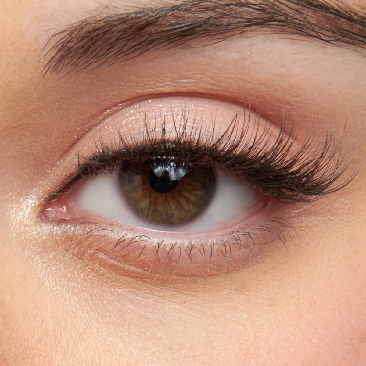 KISS close-up of clear band for seamless natural lash line