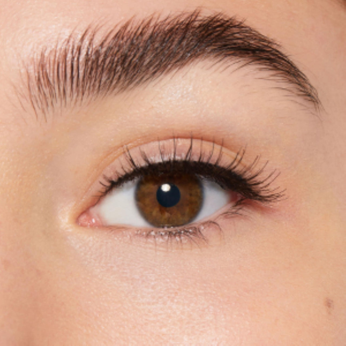 KISS lashes applied on a closed eye demonstrating subtle curl and natural enhancement