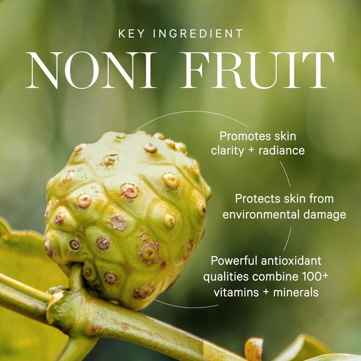 kora organics oil used with gua sha tool for smooth massage and improved glide