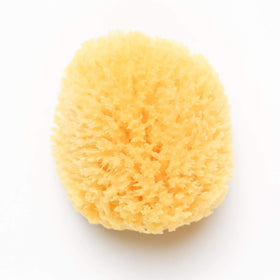 kyte baby front view of natural sea sponge showing shape and soft texture, ideal for gentle cleansing
