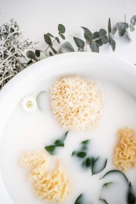 kyte baby lifestyle image of sponge in a bathroom offering spa-like lather and sustainable bathing