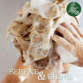 L LUSETA in-shower use with user massaging scalp to refresh and reduce flakes