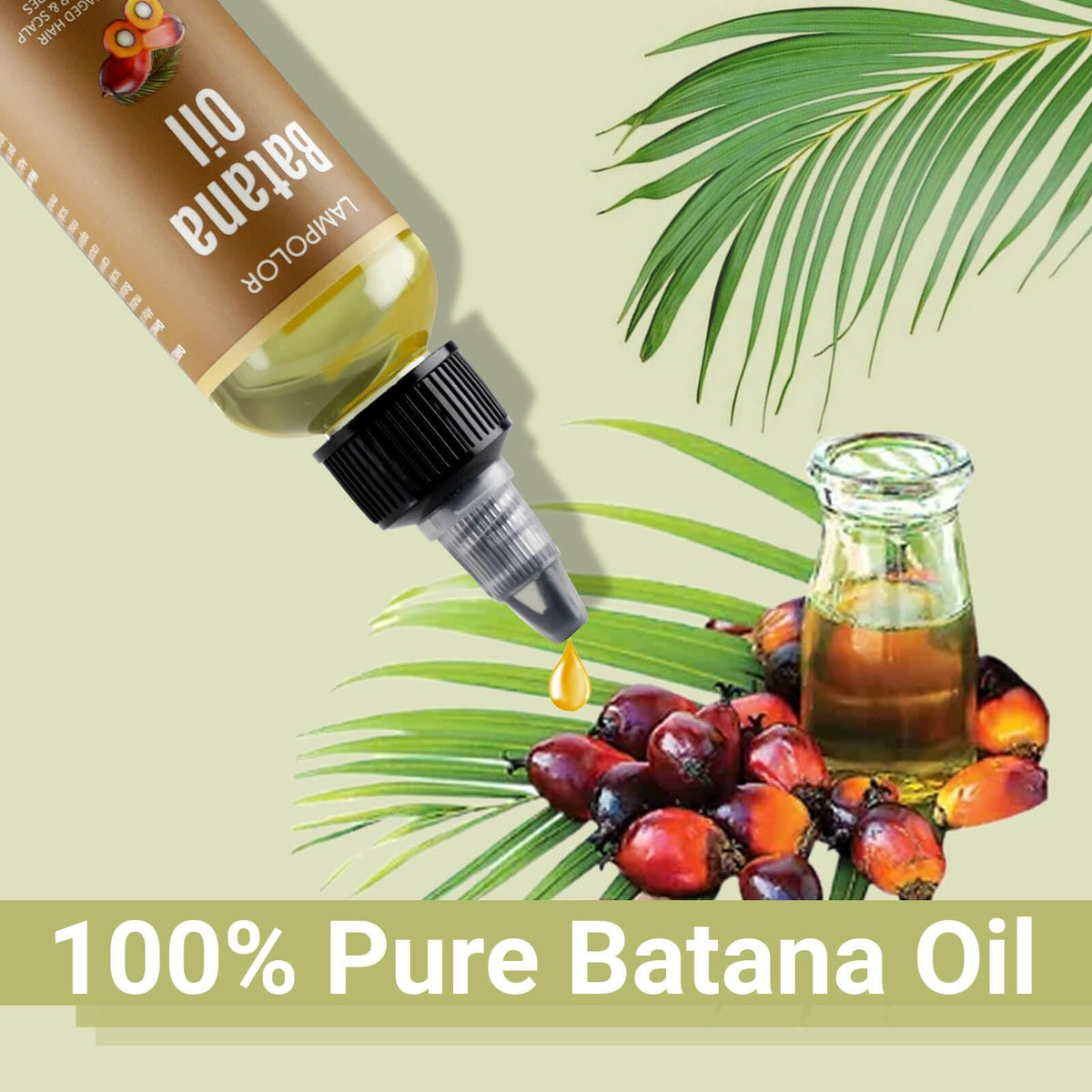 Lampolar oil drops on scalp demonstrating targeted nourishment