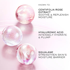 Lancôme label detail highlighting formulation and gentle skin prep benefits