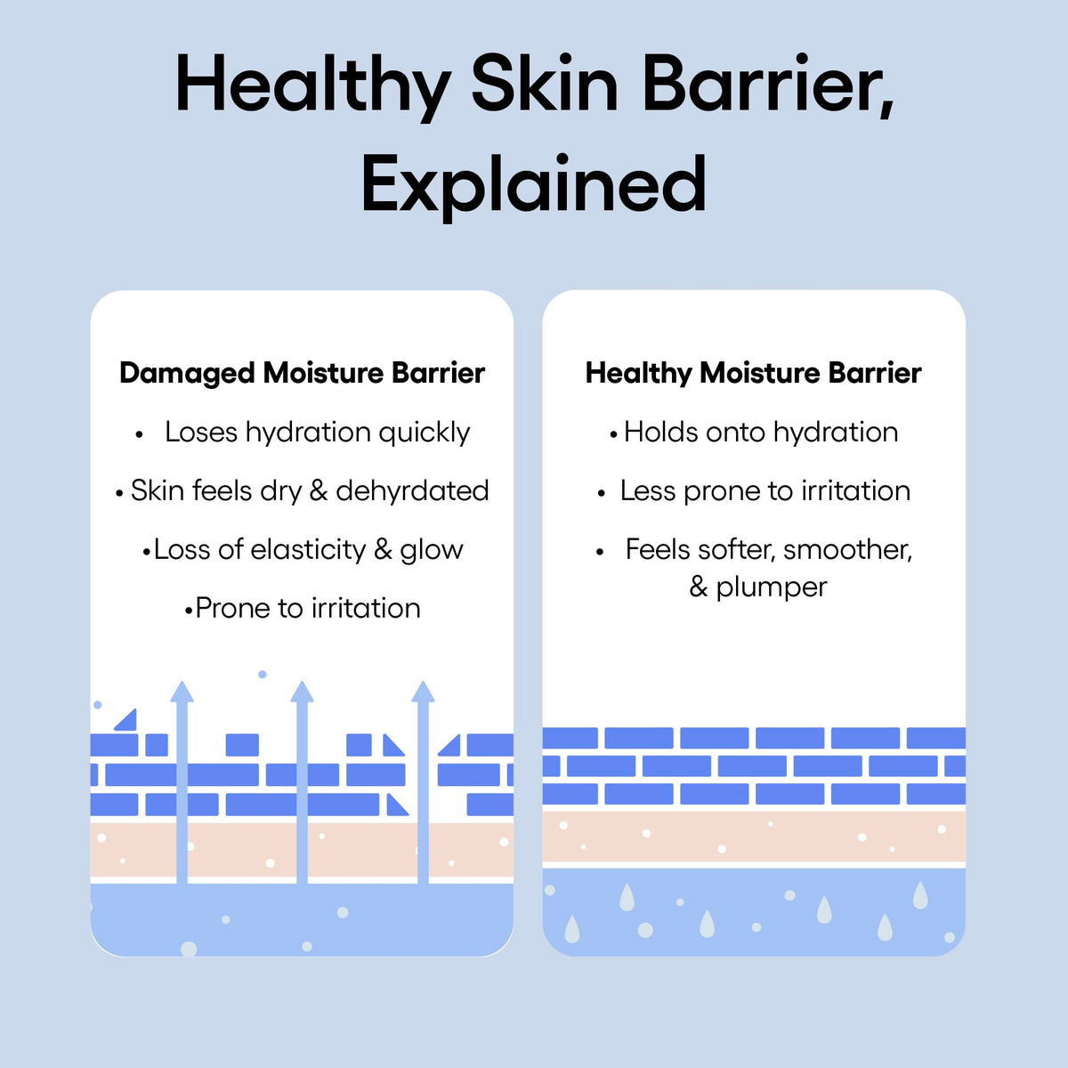 LANEIGE ingredients layout with blue hyaluronic acid and squalane benefits