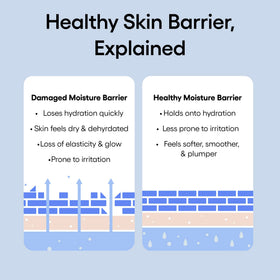 LANEIGE ingredients layout with blue hyaluronic acid and squalane benefits