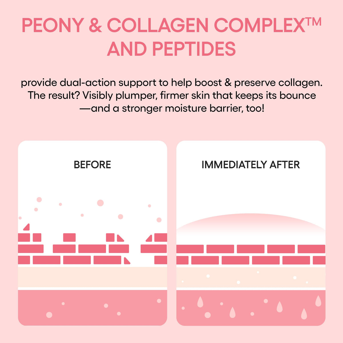 LANEIGE peony and collagen visual representing Peony & Collagen Complex for firmness