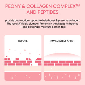 LANEIGE peony and collagen visual representing Peony & Collagen Complex for firmness