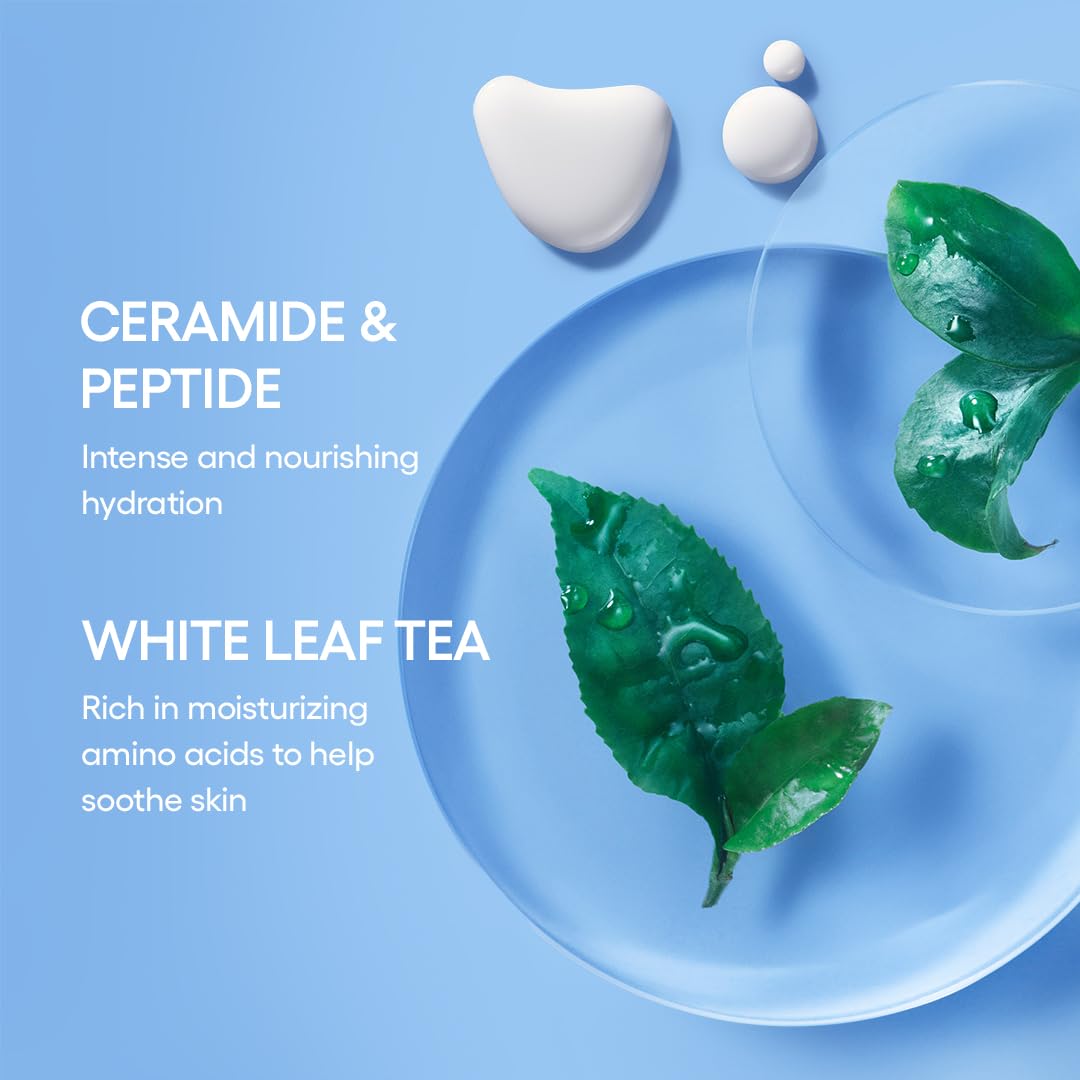 LANEIGE Lip Sleeping Mask Berry texture swipe showing softening lip treatment
