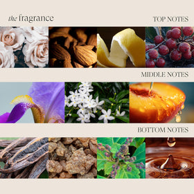 L’ANZA label detail highlighting Keratin and Abyssinian flower for strength and shine