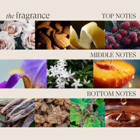 L’ANZA botanical ingredients flat lay showing plant-powered formula