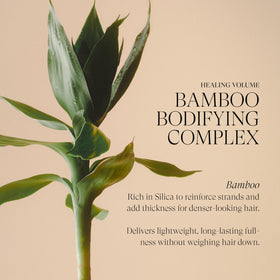 L’ANZA label zoom on Keratin Healing Technology and Bamboo Extract benefits