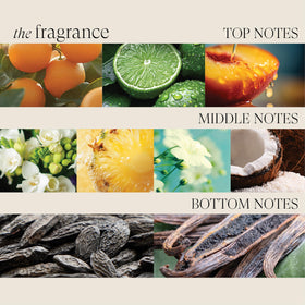 L’ANZA 10.1 fl oz bottle next to common objects indicating compact travel-friendly size