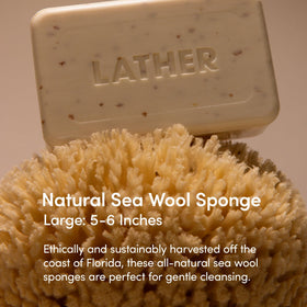 LATHER close-up texture of sponge pores for gentle exfoliation