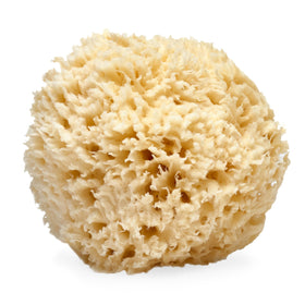 LATHER sea wool sponge front view showing shape and size benefits