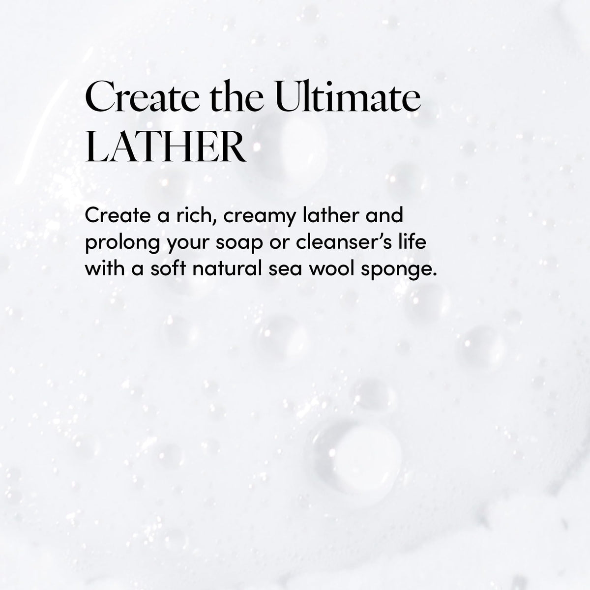 LATHER sponge lathering with soap producing creamy foam for efficient cleansing