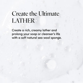 LATHER sponge lathering with soap producing creamy foam for efficient cleansing
