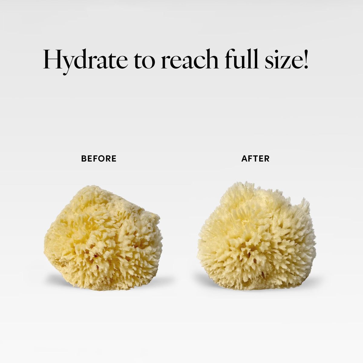LATHER product packaging and label showing brand transparency and ingredient ethos