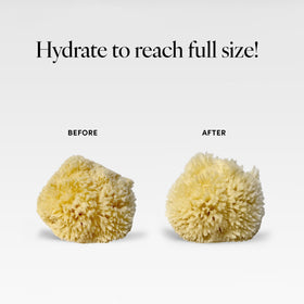 LATHER product packaging and label showing brand transparency and ingredient ethos