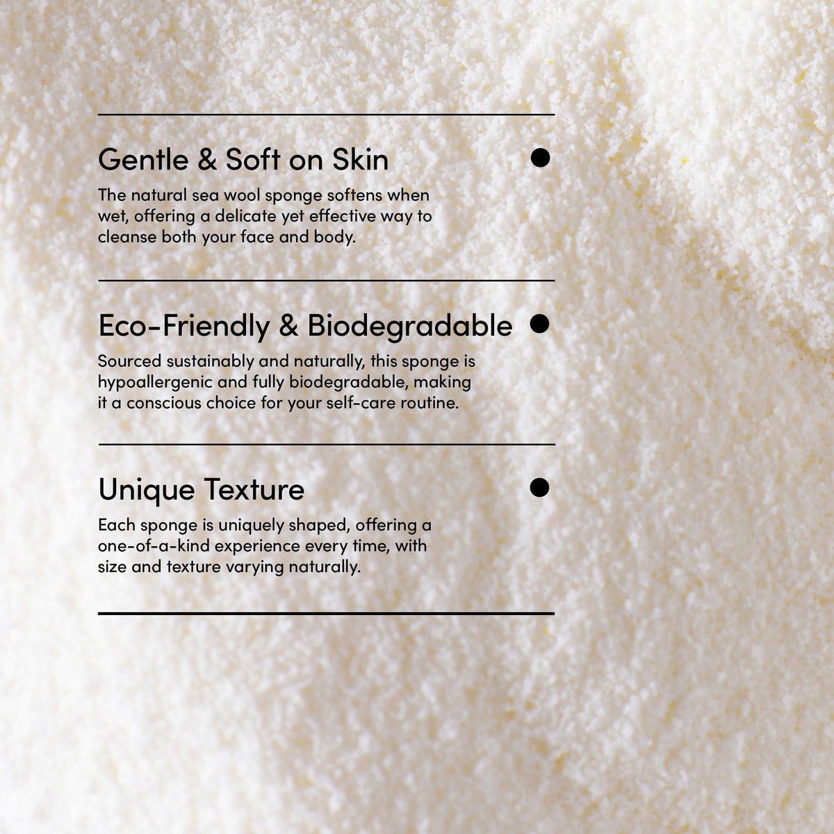 LATHER wet versus dry sponge comparison demonstrating softness when soaked