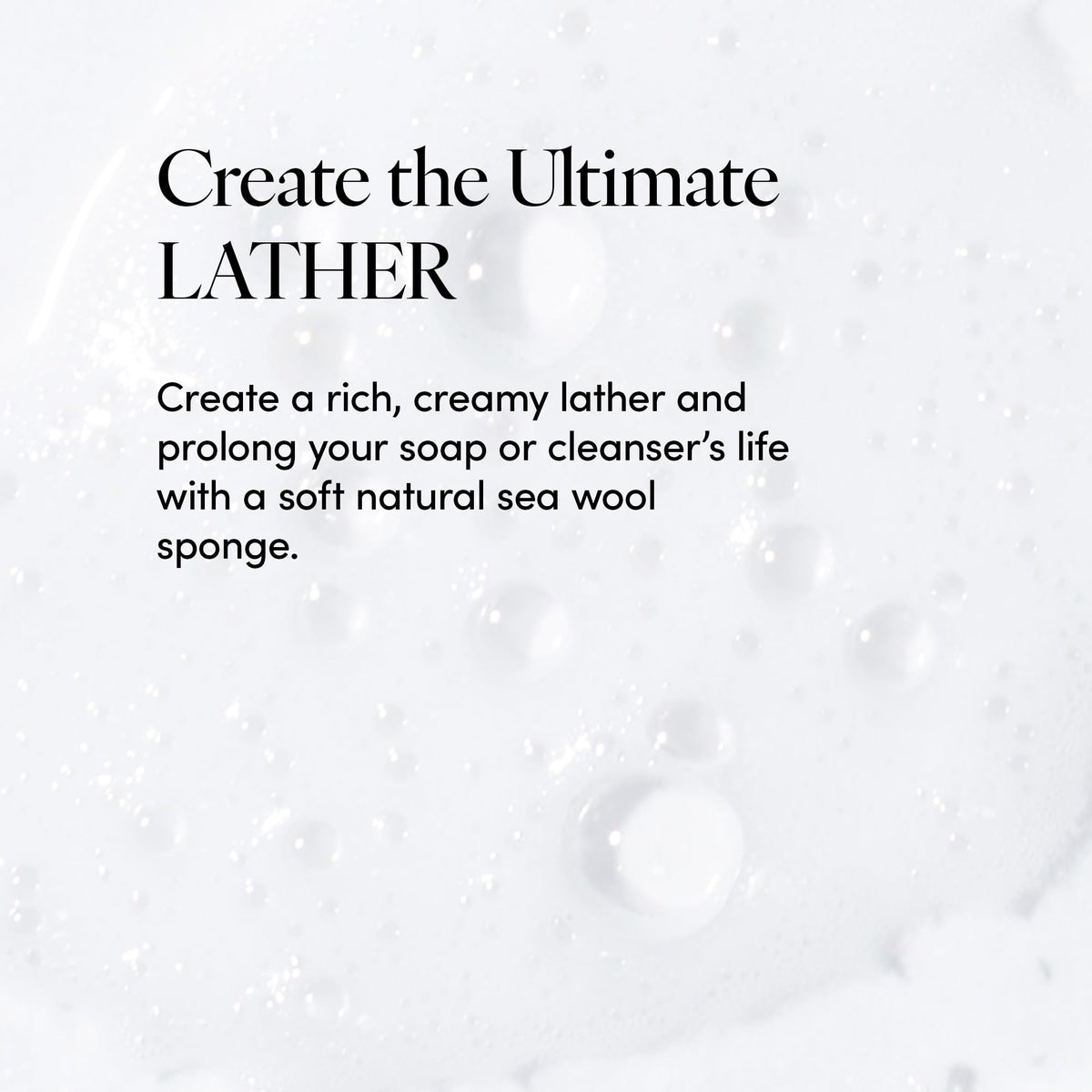 LATHER sponge creating creamy lather with body wash for efficient cleansing