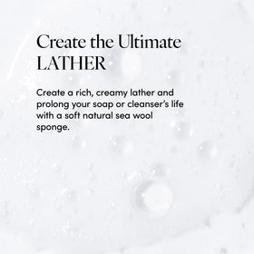LATHER sponge creating creamy lather with body wash for efficient cleansing