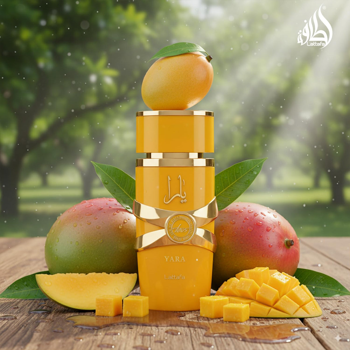 Lattafa Yara Tous ingredient art showing mango and coconut, conveys juicy top notes