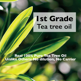 Lazy Society label detail highlighting 100% pure tea tree oil information