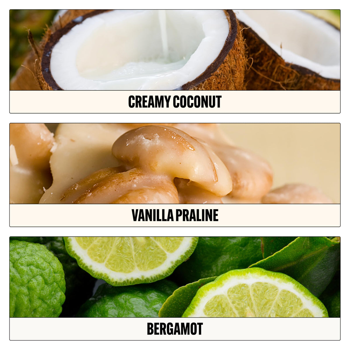 Le Monde Gourmand 30ml size comparison illustrating purse-friendly convenience