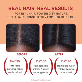 Lebanta oil being massaged into scalp demonstrating moisturized scalp benefit