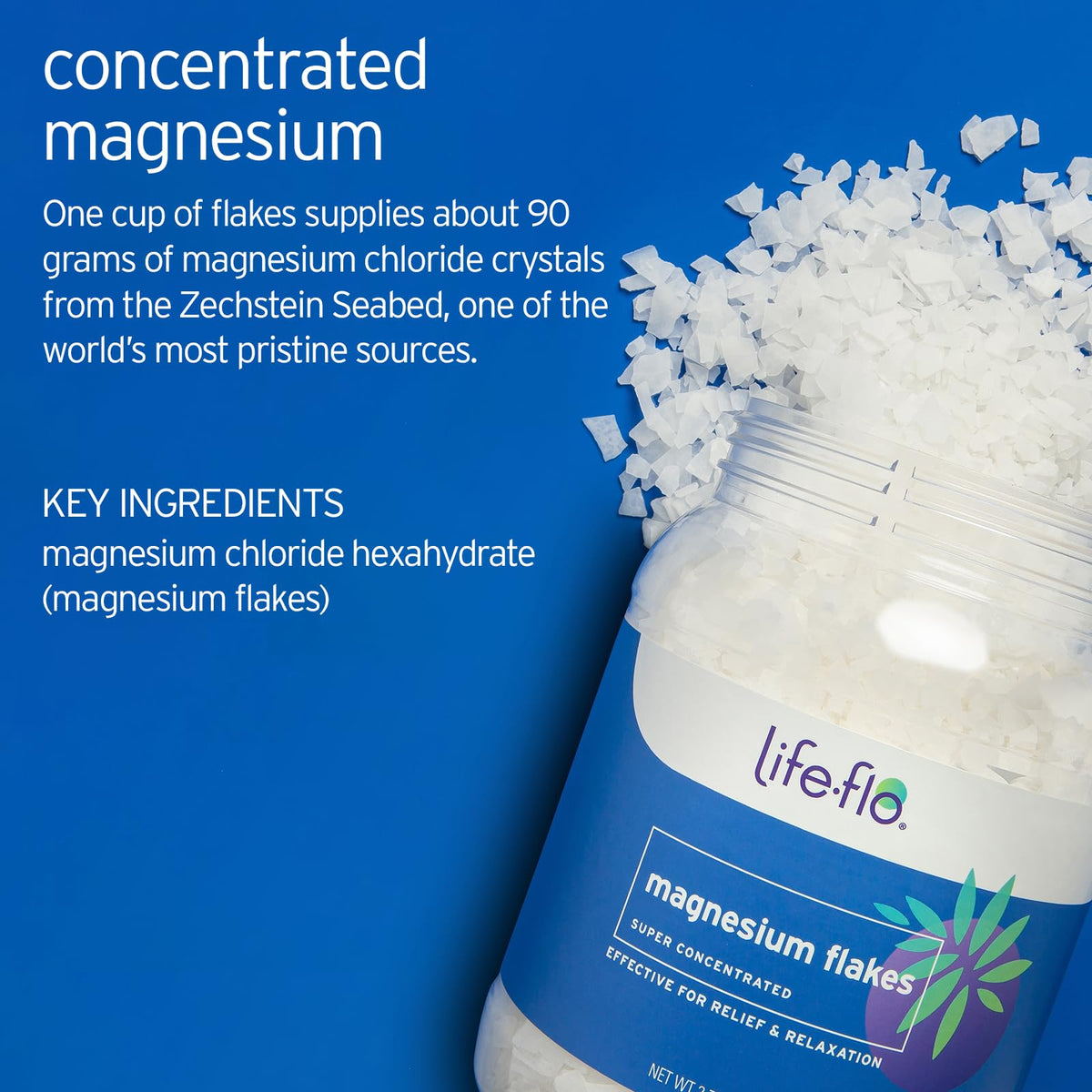 LIFE-FLO poured flakes in hand highlighting texture and easy measuring benefit