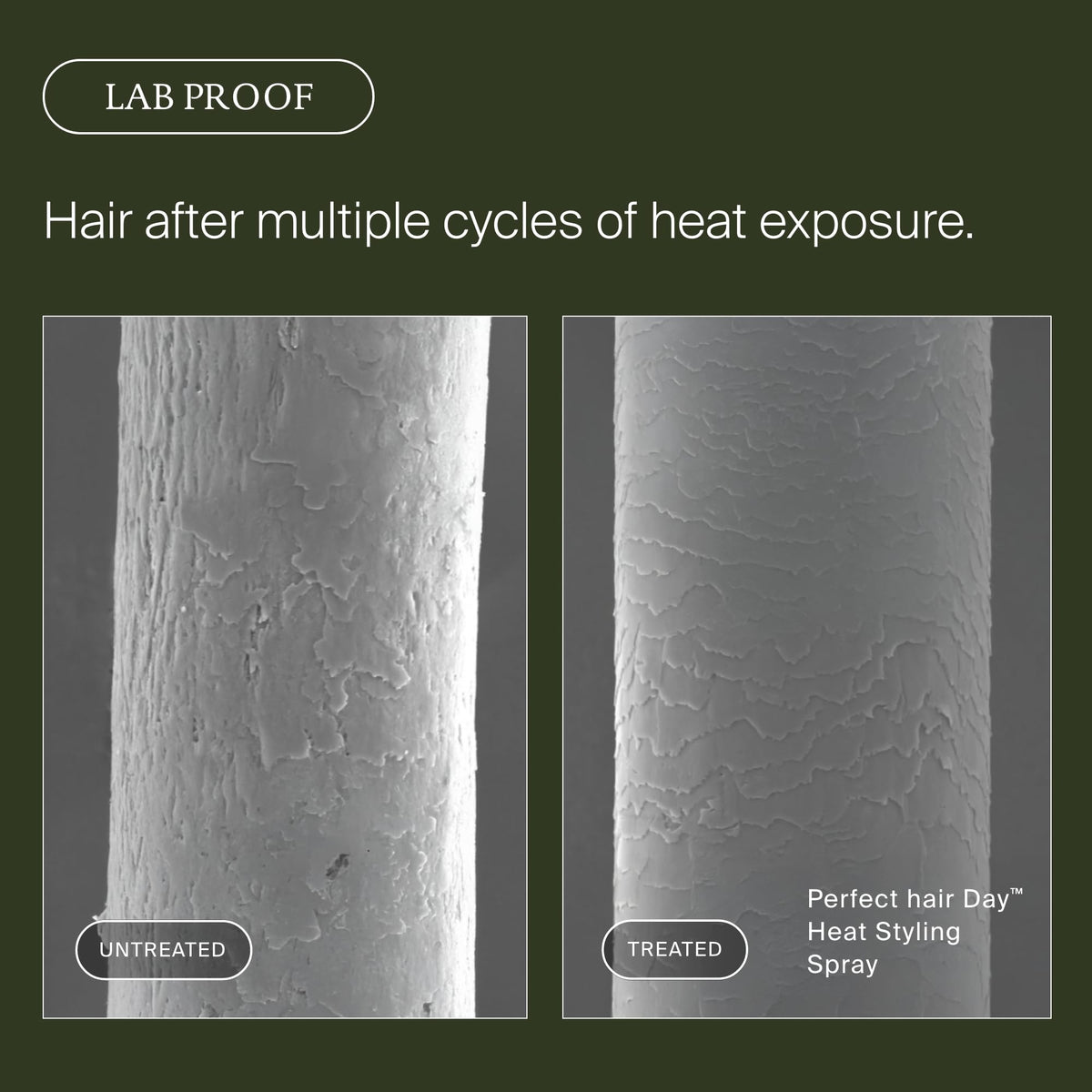 Living Proof before and after image showing reduced frizz