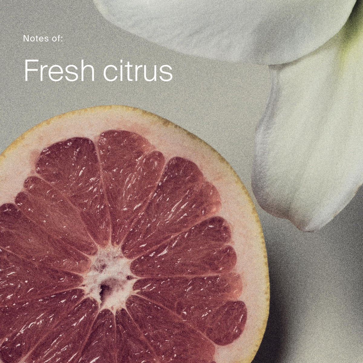 Living Proof product label close-up highlighting silicone- and paraben-free benefit