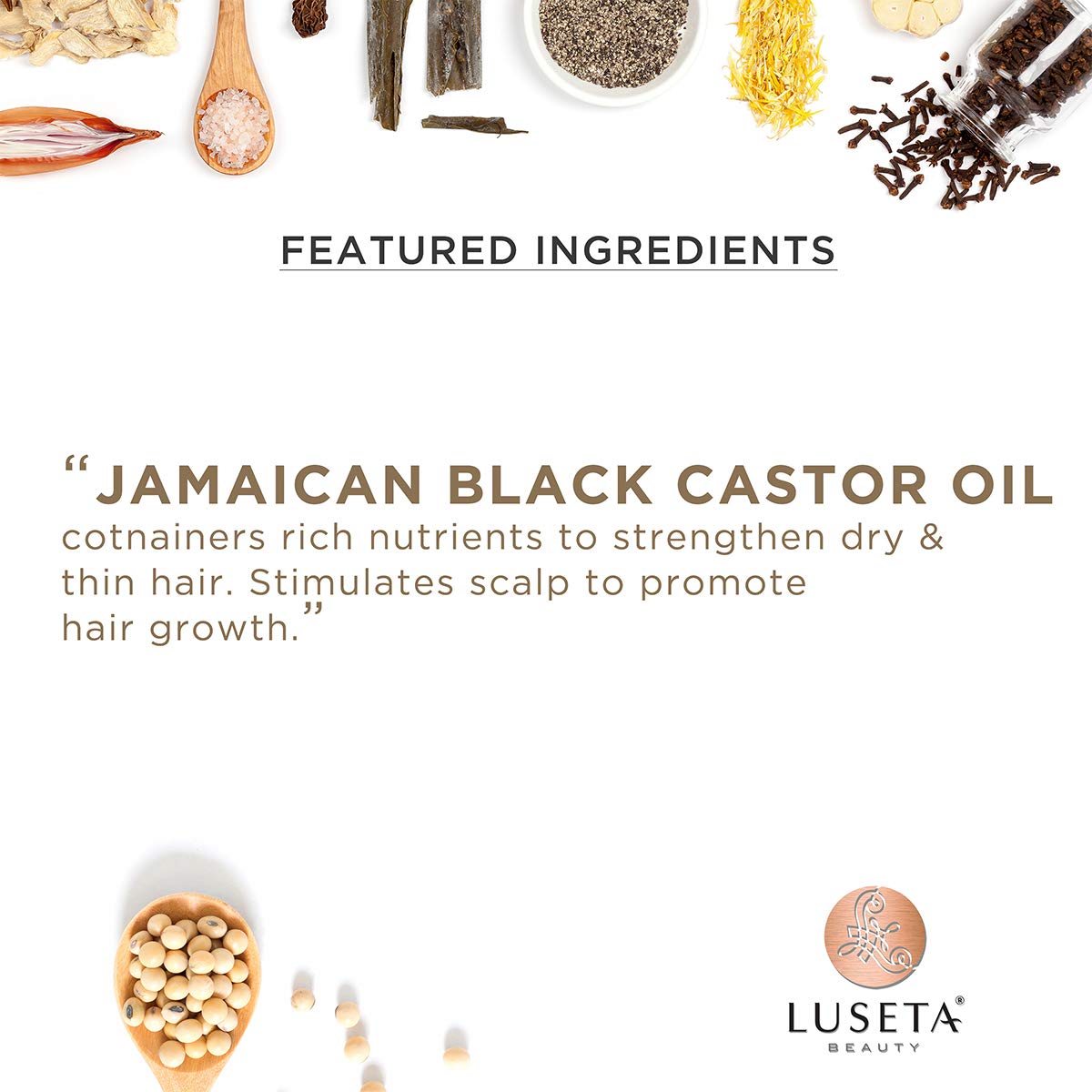 L LUSETA set styled on vanity showing salon-quality self-care benefit