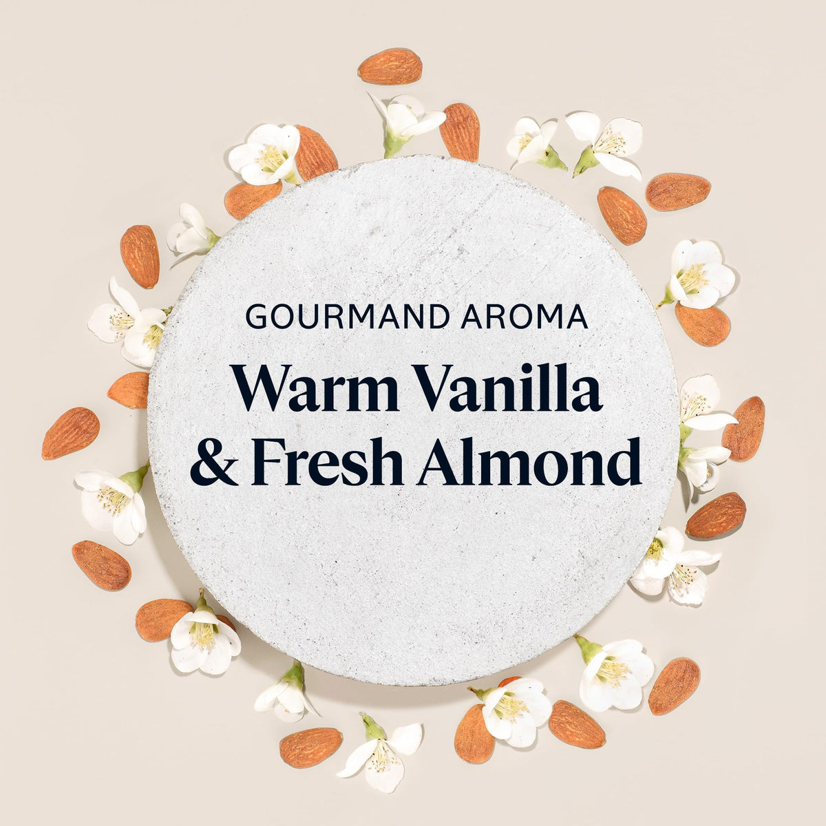 L'OCCITANE almond oil ingredient display emphasizing natural sourcing and nourishment