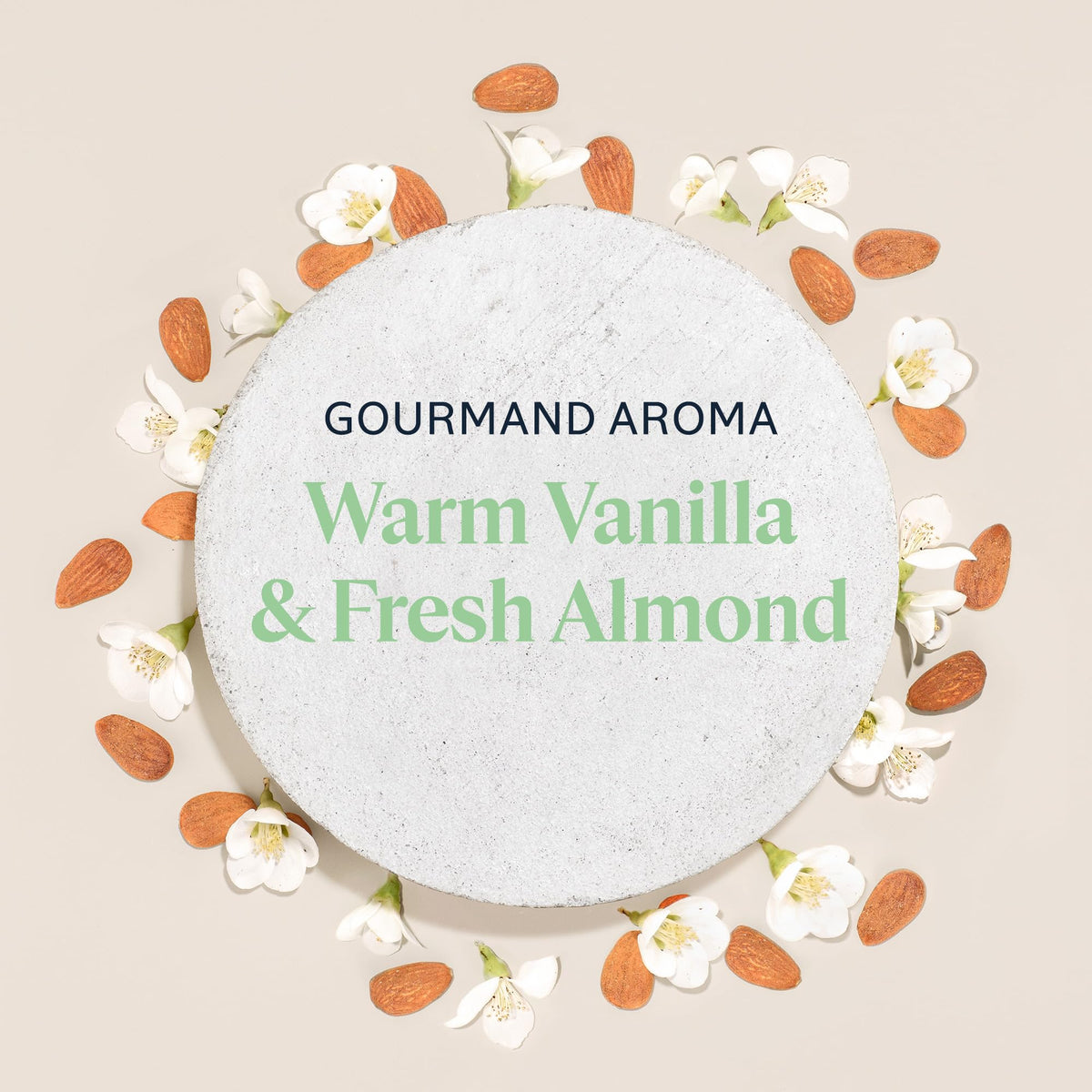 L'OCCITANE jar beside almonds evokes natural ingredients and gentle fragrance