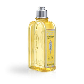 L'Occitane bottle dispensing shampoo with visible lather, easy application benefit