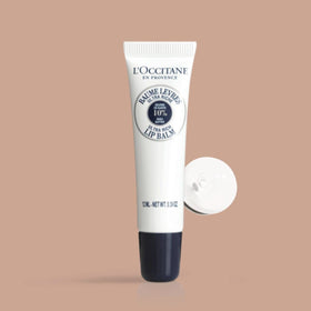 L'OCCITANE shea butter texture close-up highlighting creamy richness