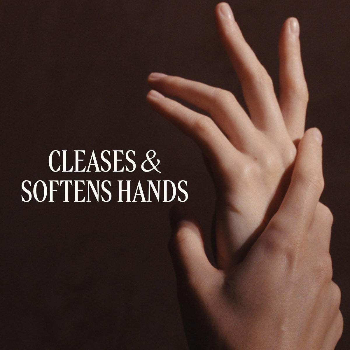 L'OCCITANE rich foam on palm demonstrating gentle cleansing benefit