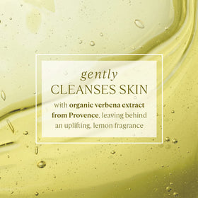 L'Occitane frothy foam close-up showing light texture and gentle cleanse