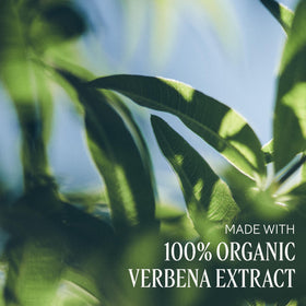 L'OCCITANE label detail showing ingredients and clear product information benefit