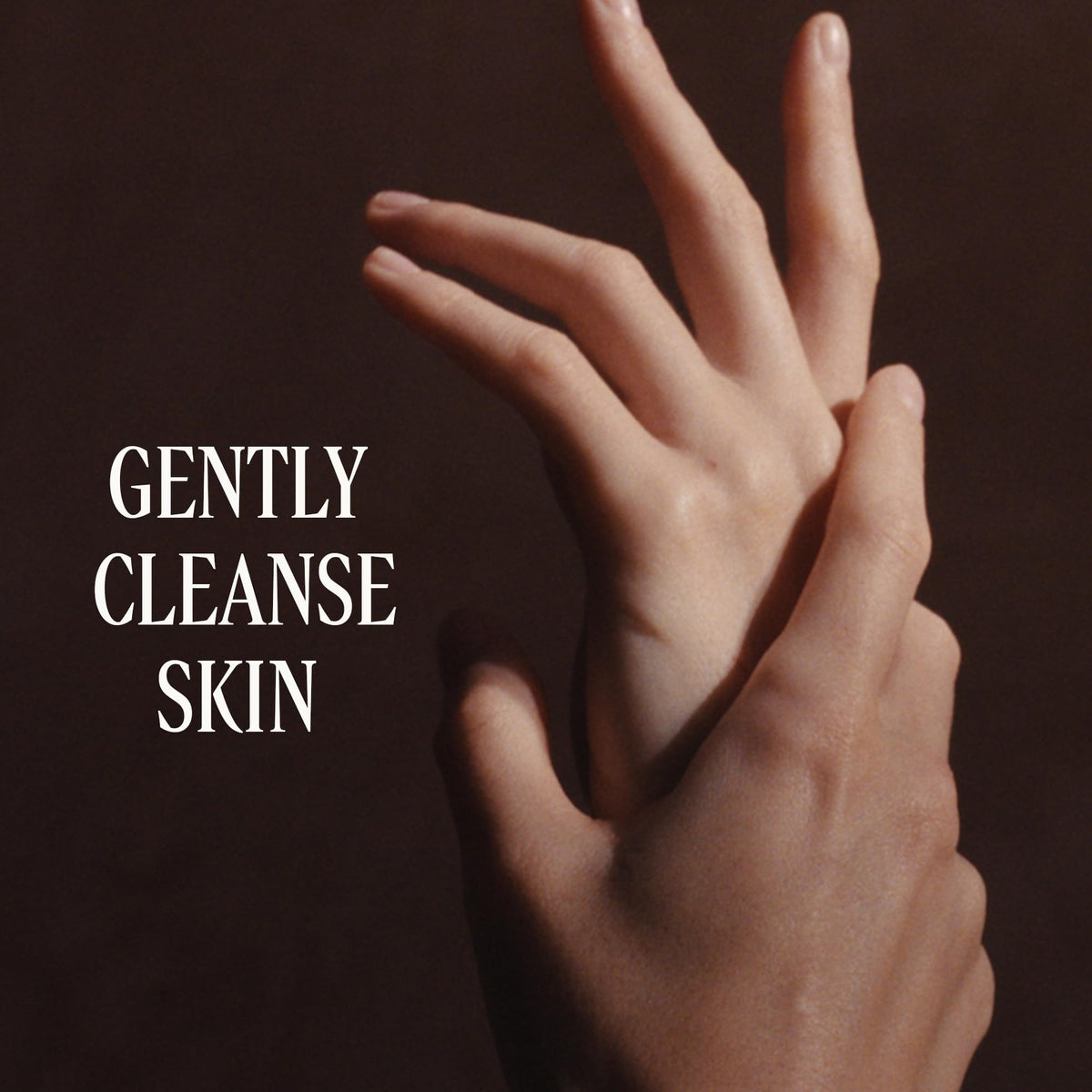 L'OCCITANE creamy lather in hand demonstrating gentle cleanse