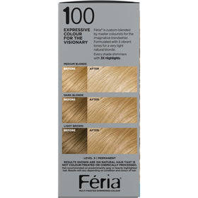 L'Oreal Feria applicator brush and developer bottle for precise coverage