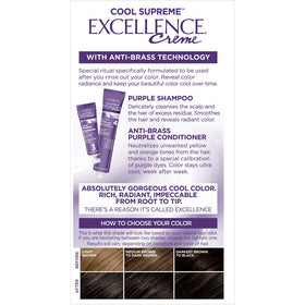 L'Oreal Paris finished hair result in a lifestyle setting with cool, neutral brown shine